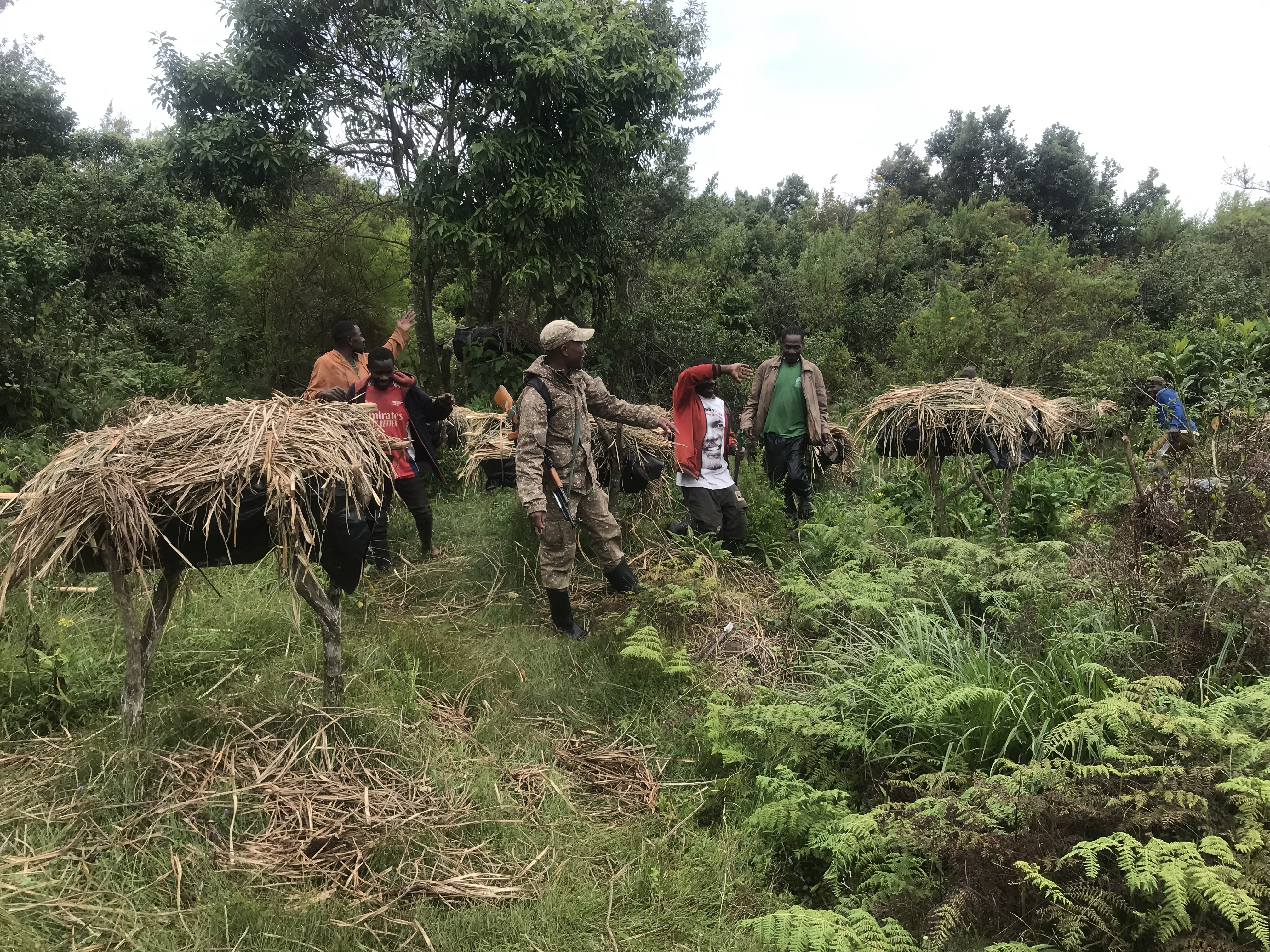 batwa